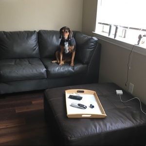 Meet your Posher, Peter